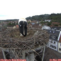 08_15-nest.jpg