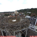 10_05-nest.jpg