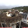 11_55-nest.jpg