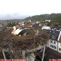 12_05-nest.jpg