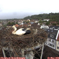 12_10-nest.jpg