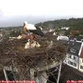 12_15-nest.jpg