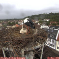 12_20-nest.jpg