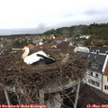 12_30-nest.jpg
