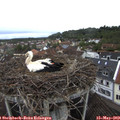 12_45-nest.jpg