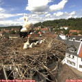 14_15-nest.jpg