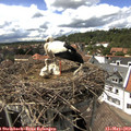 15_05-nest.jpg