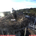 19_45-nest.jpg