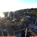 20_00-nest.jpg