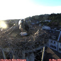20_05-nest.jpg
