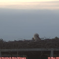 06_00-mast.jpg