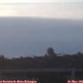 06_05-mast.jpg