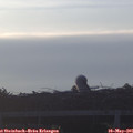 06_10-mast.jpg