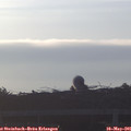 06_15-mast.jpg