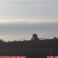 06_20-mast.jpg