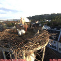 06_25-nest.jpg