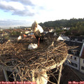06_40-nest.jpg