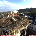 07_05-nest.jpg