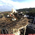 07_10-nest.jpg