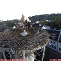 07_20-nest.jpg