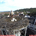 08_40-nest.jpg