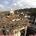 08_55-nest.jpg