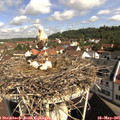 09_55-nest.jpg