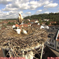10_00-nest.jpg