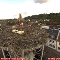 10_25-nest.jpg