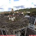 10_30-nest.jpg