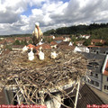 10_35-nest.jpg
