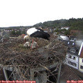 11_40-nest.jpg
