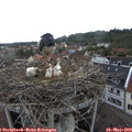 12_25-nest.jpg