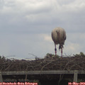12_30-mast.jpg