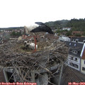 12_30-nest.jpg