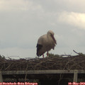 14_40-mast.jpg