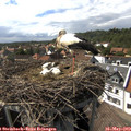 15_55-nest.jpg
