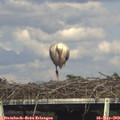 17_05-mast.jpg