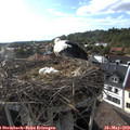 18_15-nest.jpg