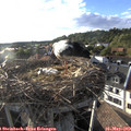 18_55-nest.jpg