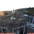 20_40-nest.jpg