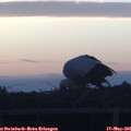 05_40-mast.jpg
