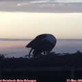 05_45-mast.jpg