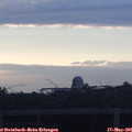 05_55-mast.jpg