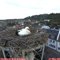 05_55-nest.jpg