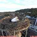 06_00-nest.jpg