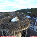 06_05-nest.jpg