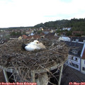 06_20-nest.jpg