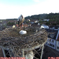 06_40-nest.jpg