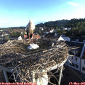 06_45-nest.jpg